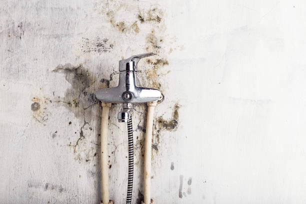 Best Residential Mold Remediation in Iyanbito, NM