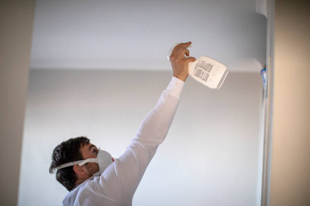 Best DIY Mold Remediation Support Services in Iyanbito, NM