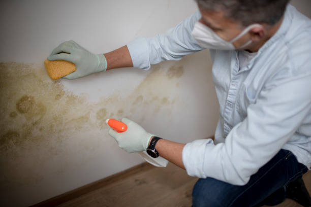 Best Crawl Space Mold Remediation in Iyanbito, NM