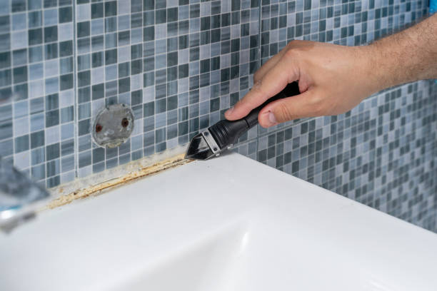 Best Basement Mold Remediation in Iyanbito, NM